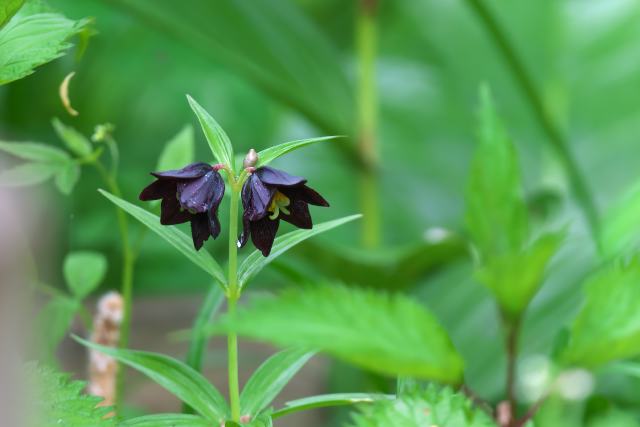 �N������