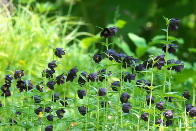 �N������