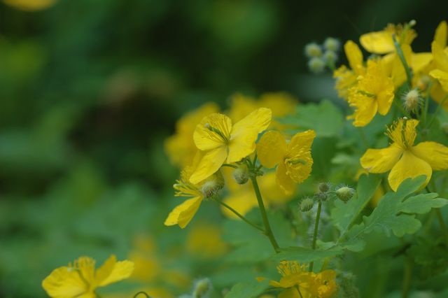 �N�T�m�I�E