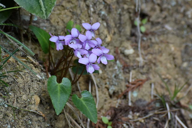 �}�L�m�X�~��