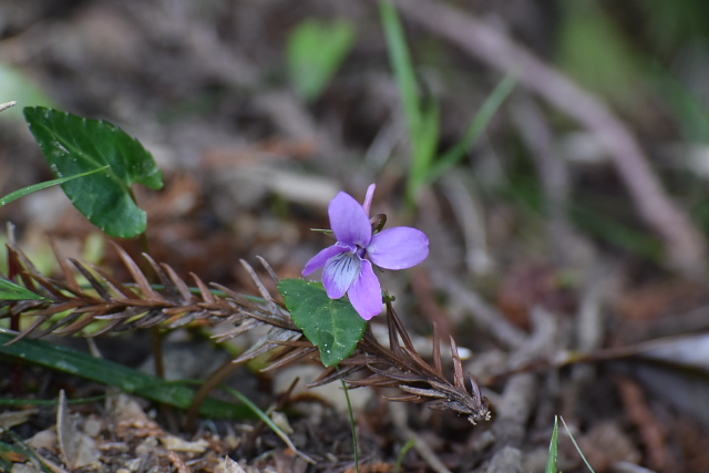 �}�L�m�X�~��