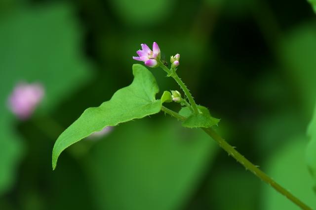 �}�}�R�m�V���k�O�C