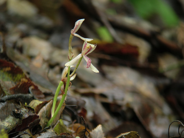 �}������