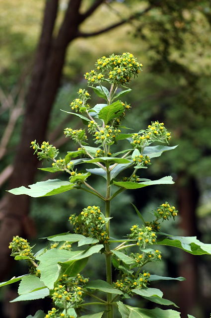 ���i���~