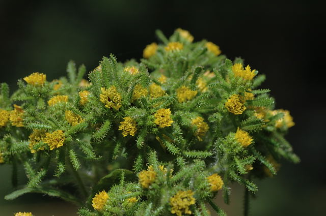 ���i���~