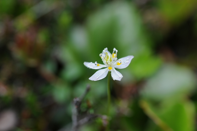 �~�c�o�I�E����