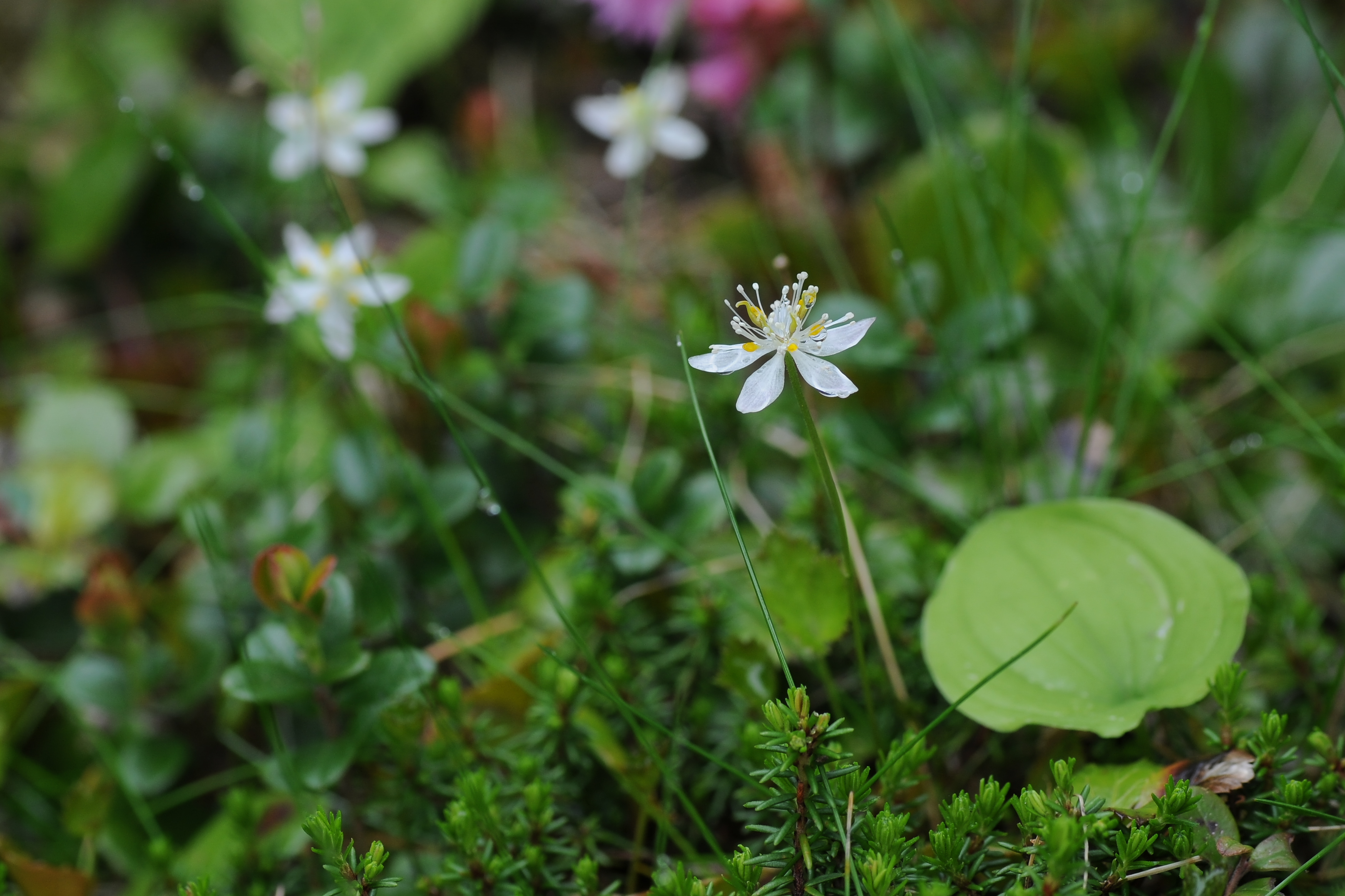 �~�c�o�I�E����