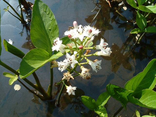 �~�c�K�V��