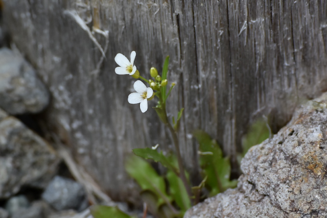 �~���}�n�^�U�I