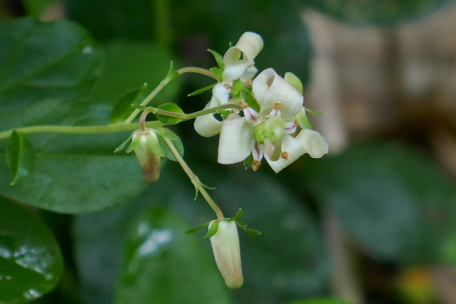 �~���}�z�c�c�W