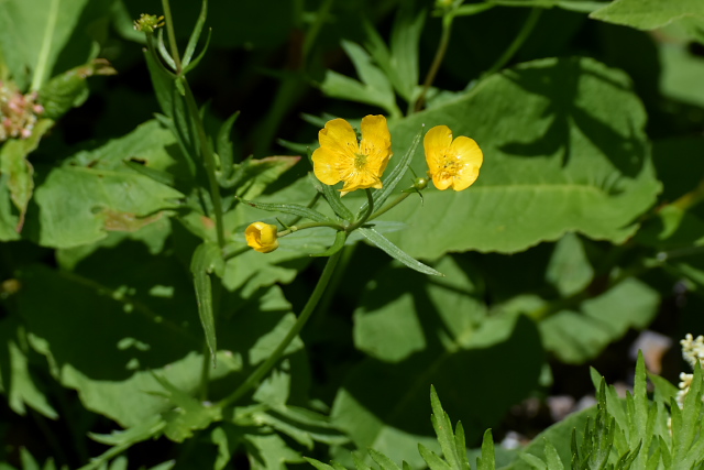 �~���}�L���|�E�Q