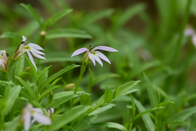 �~�]�J�N�V