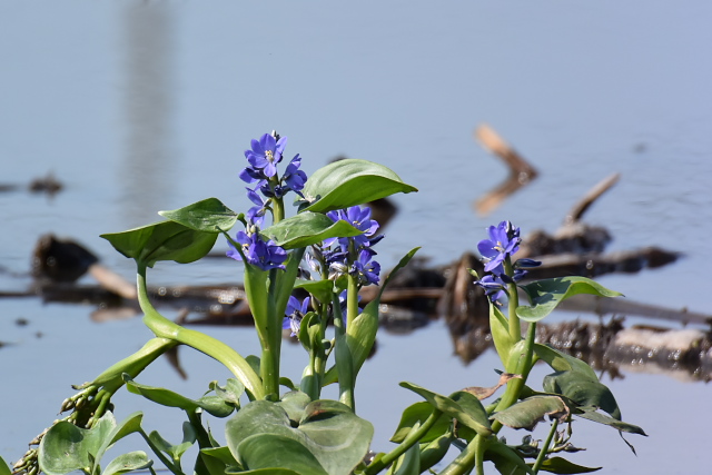 �~�Y�A�I�C