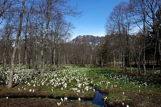 �~�Y�o�V���E