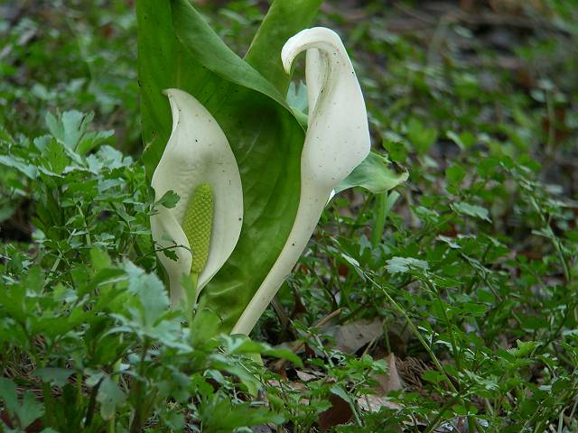 �~�Y�o�V���E