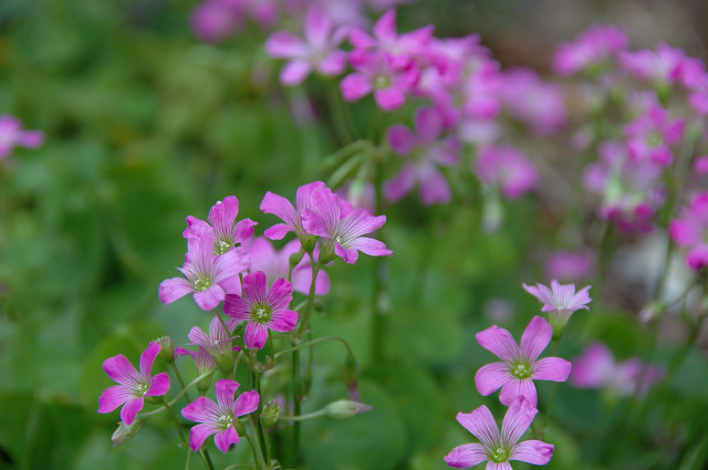 �����T�L�J�^�o�~