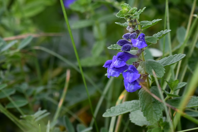 �i�~�L�\�E