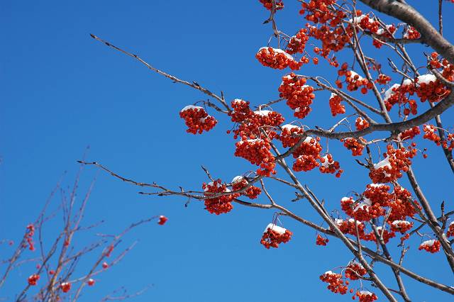 �i�i�J�}�h