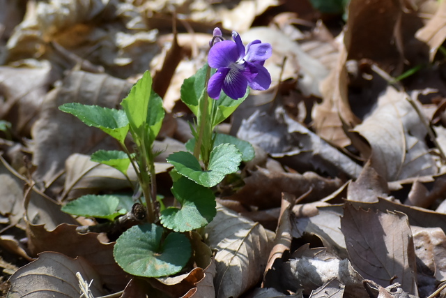 �j�I�C�^�`�c�{�X�~��