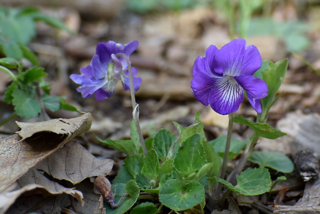 �j�I�C�^�`�c�{�X�~��