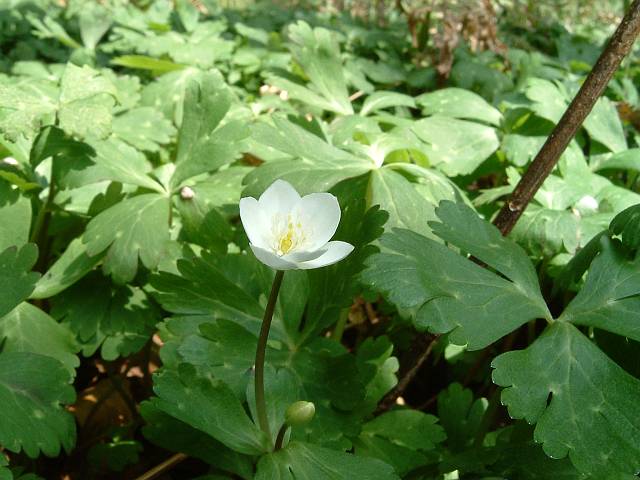 �j�����\�E