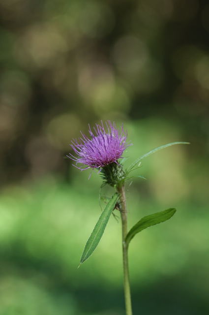 �m�n���A�U�~