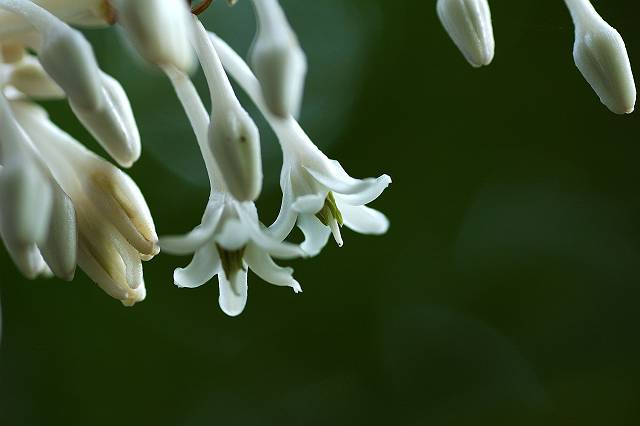 �m�V����