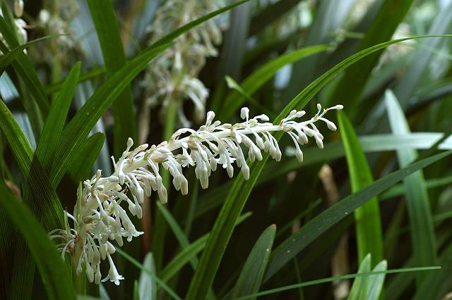 �m�V����