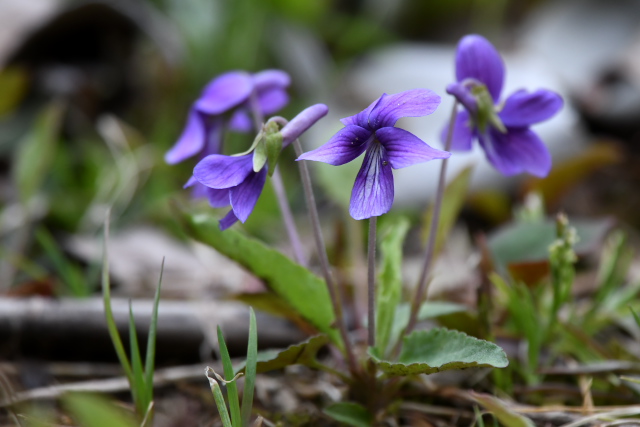 �m�W�X�~��