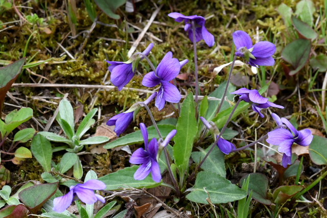 �m�W�X�~��