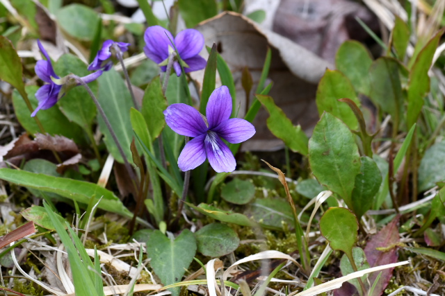 �m�W�X�~��