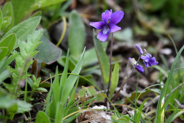 �m�W�X�~��