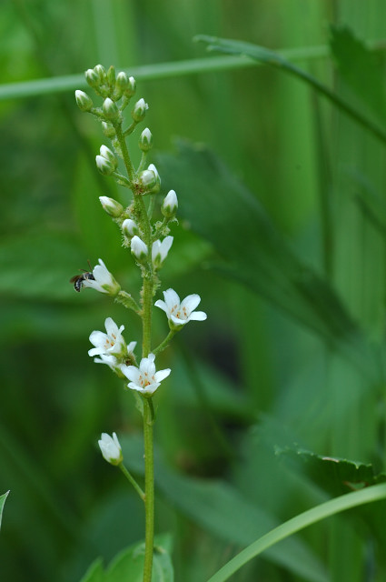 �k�}�g���m�I