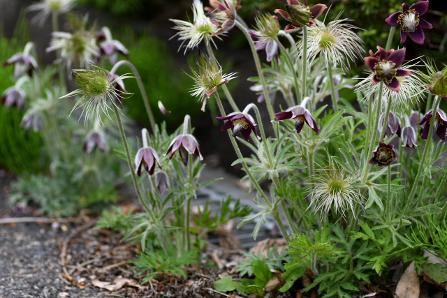 �I�L�i�O�T