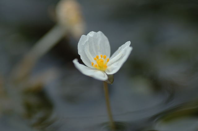 �I�I�J�i�_��