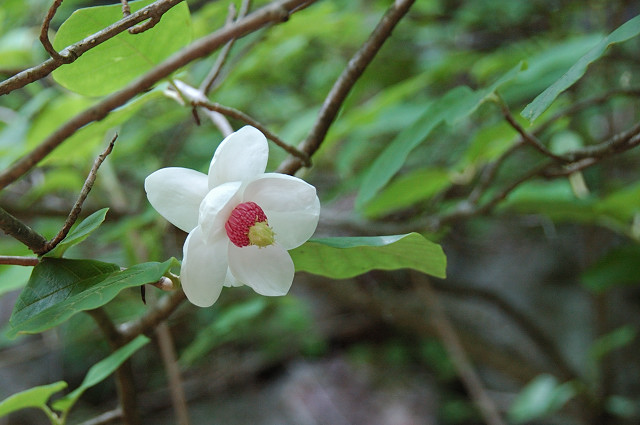 �I�I���}�����Q