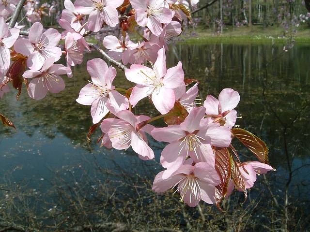 �I�I���}�U�N��