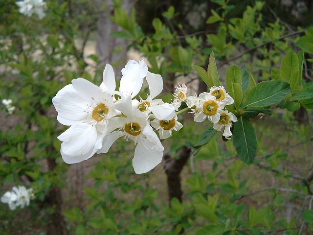 ���L���E�o�C