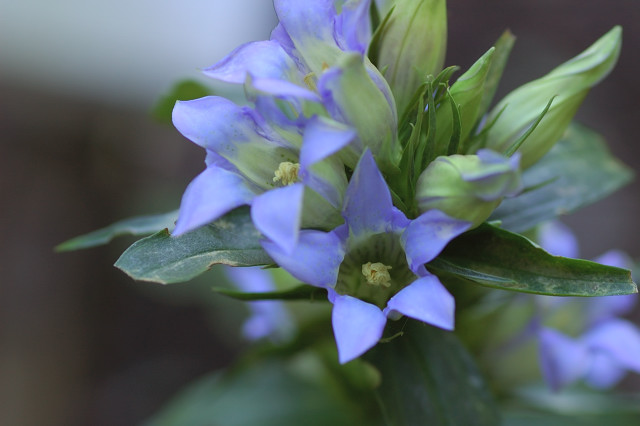 �����h�E