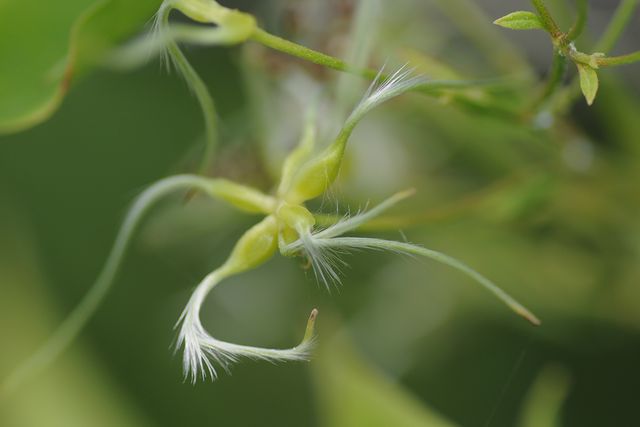 �Z���j���\�E