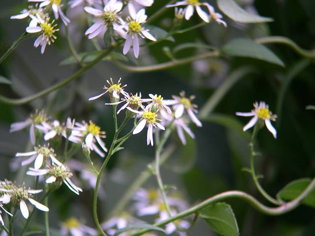 �V�����}�M�N