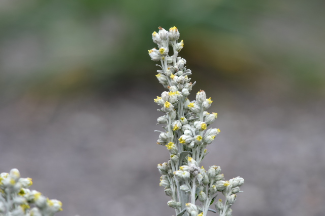 �V�������M