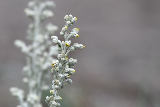 �V�������M