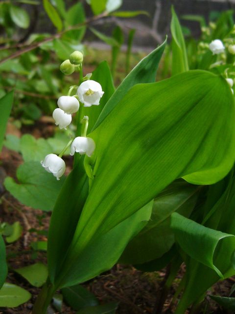 �X�Y����