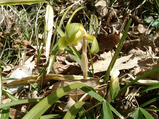 �V��������