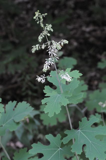 �^�P�j�O�T