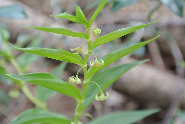 �^�P�V�}����