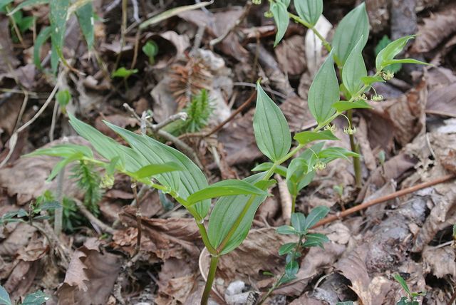 �^�P�V�}����