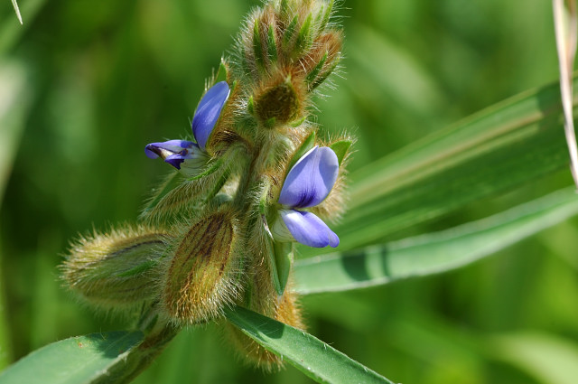 �^�k�L�}��