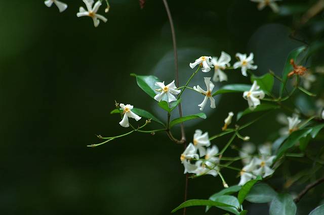 �e�C�J�J�Y��